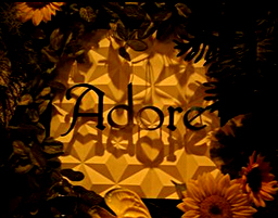 Adore